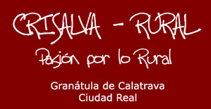 pensiones, hostales, casas rurales baratas. Depension.com. Ampliar esta imagen