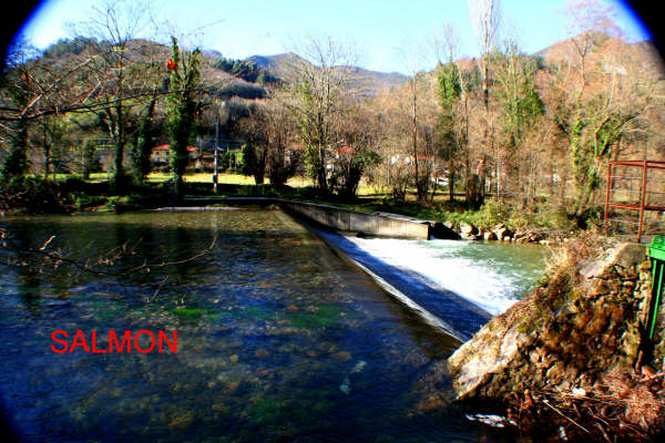 pensiones, hostales, casas rurales baratas. Depension.com. Ampliar esta imagen