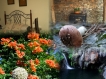 Apartamentos Rurales Azabal